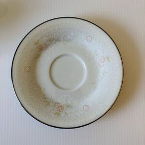 Temptation by Noritake China Teacup Saucer 2752 Garden Core Chinoiserie Style